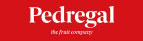 logo pedregal